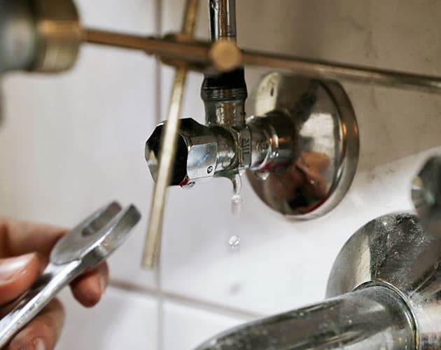 Plumbing Repairs & Leak Detection